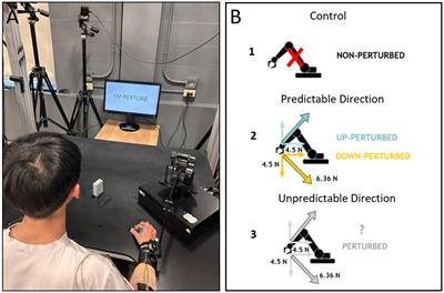 Perturbing reach elicits anticipatory responses in transport and grasp